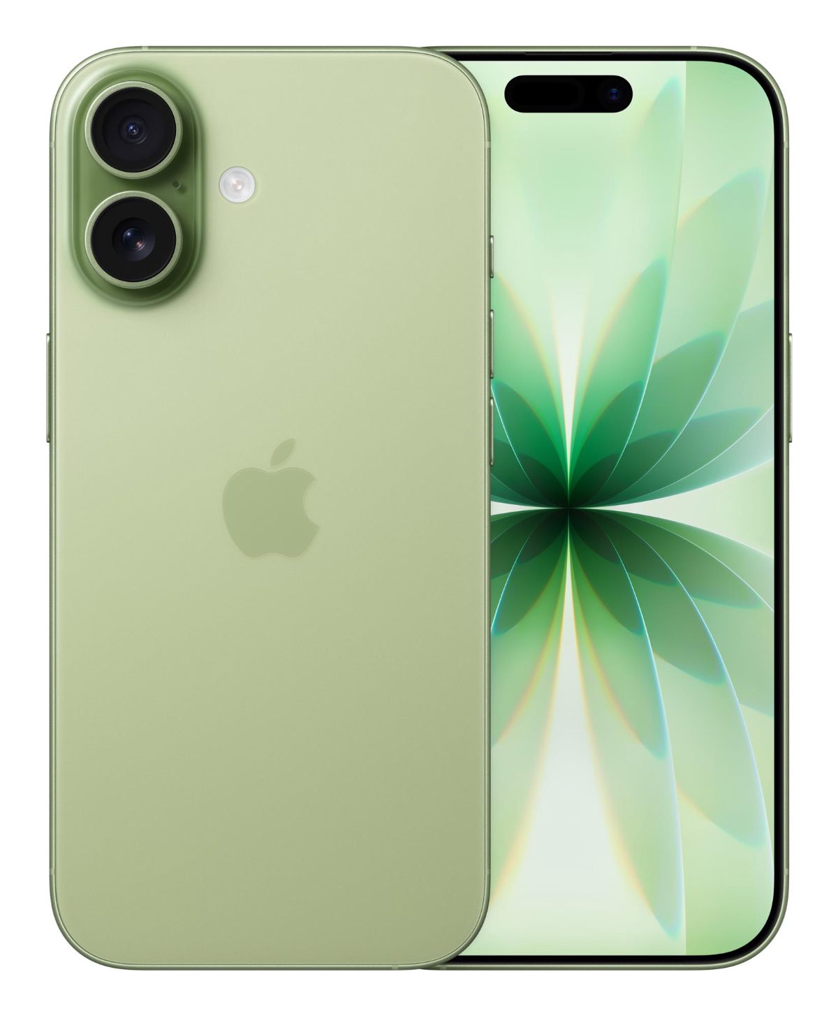 iPhone 17, Sage, 6.3 ", 2622 x 1206 pixels, OLED, A19, Internal RAM 8 GB, 256 GB, Dual SIM, Nano SIM, 5G, Main camera resolution 48 MP, iOS 26, Secondary camera resolution 48 MP