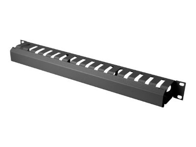 1U cable management cage detachable rear plate, DN-97617, For installation on the 483 mm (19“) profile rails, Black