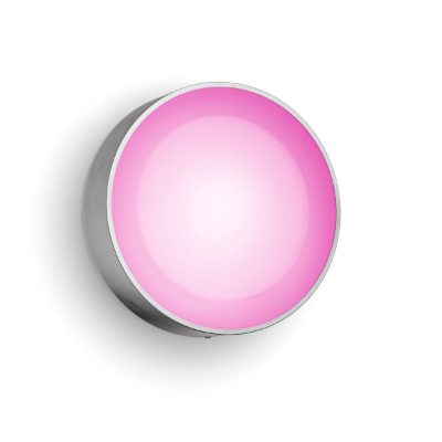 Philips Hue WCA Daylo Outdoor Wall Lantern, Inox, 15 W, 2000-6500 Hue White Colour Ambiance