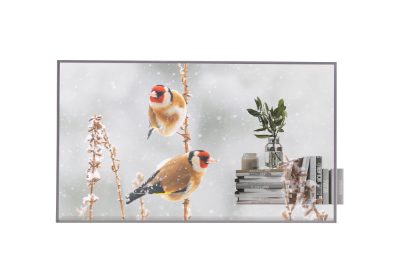 Digital Signage, 55EW5P, 55 ", Landscape/Portrait, 18/7, webOS, 8 ms, 178 °, Transparent, 600 cd/m²