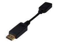 DisplayPort Adapter/Converter, AK-340400-001-S