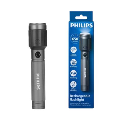 PHILIPS LED lukturis, pelēks
