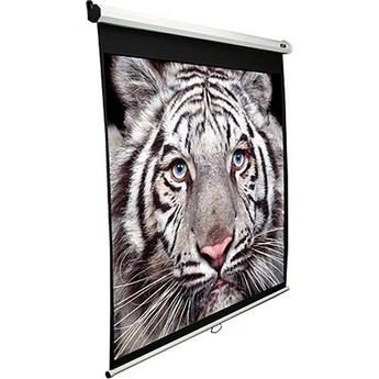 Manual Series, M135XWH2, Diagonal 135 ", 16:9, Viewable screen width (W) 299 cm, White