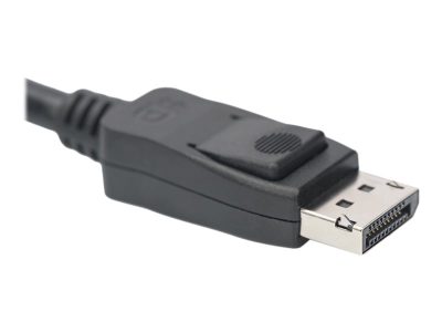 DisplayPort Connection Cable, AK-340106-030-S, DisplayPort to DisplayPort DisplayPort Male (Version 1.3/1.4), DisplayPort Male (Version 1.3/1.4)