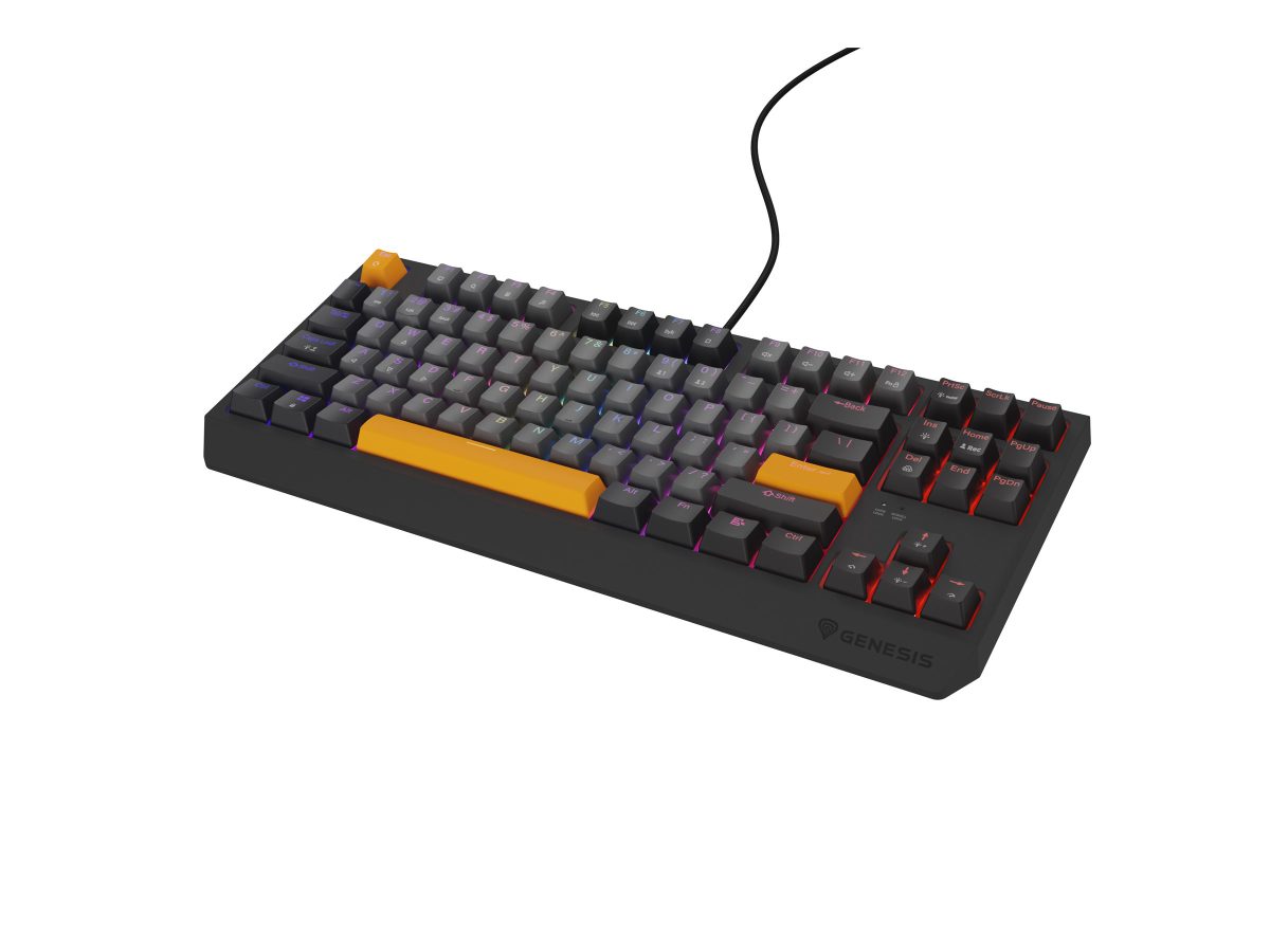 THOR 230 TKL, Mechanical Gaming Keyboard, Wired, US, Outemu Red, Anchor Gray Negative