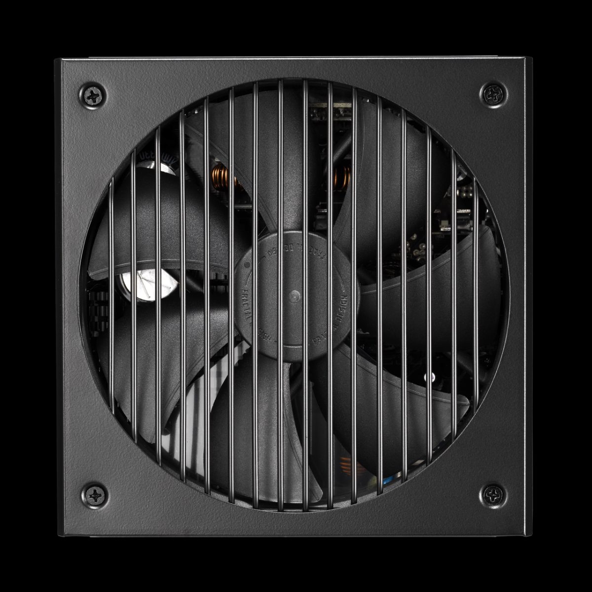 Ion+ 660W Platinum, 660 W