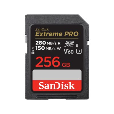 MEMORY SDXC 256GB UHS-II/SDSDXEP-256G-GN4IN SANDISK
