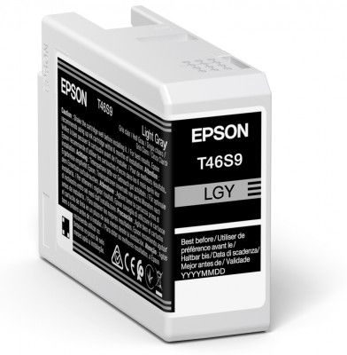 Epson UltraChrome Pro 10 ink, T46S9, Ink cartrige, Light Gray