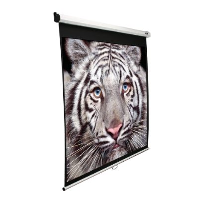 Manual Series, M136XWS1, Diagonal 136 ", 1:1, Viewable screen width (W) 244 cm, White