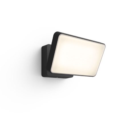 Philips Hue Welcome Outdoor Floodlight, Warm white
