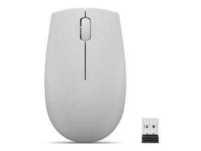 Compact Mouse with battery, 300, Wireless, Arctic Grey