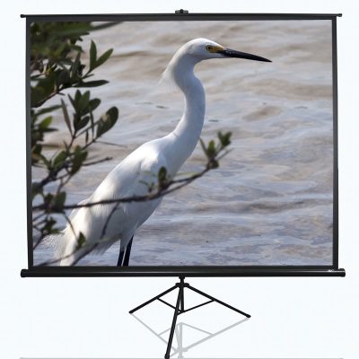 Tripod Series, T100UWV1, Diagonal 100 ", 4:3, Viewable screen width (W) 203 cm, Black