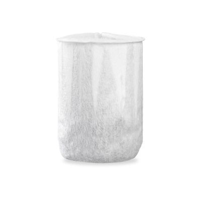 Anti-calc & Antibacterial Filter Capsules (2x), For Beam mini, White