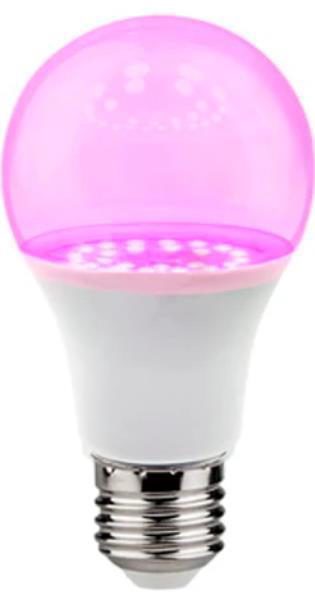 Light Bulb, VISIONAL, Power consumption 24 Watts, 4000 K, AC 220-240V, Beam angle 270 degrees, 04-198
