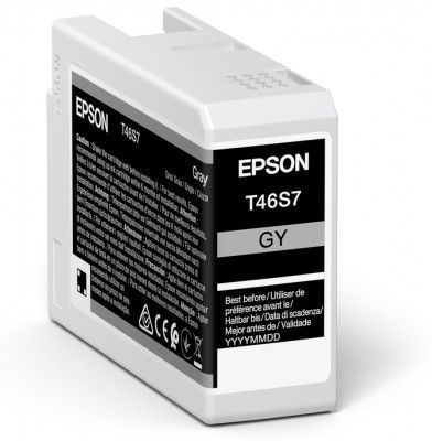 Epson UltraChrome Pro 10 ink, T46S7, Ink cartrige, Grey