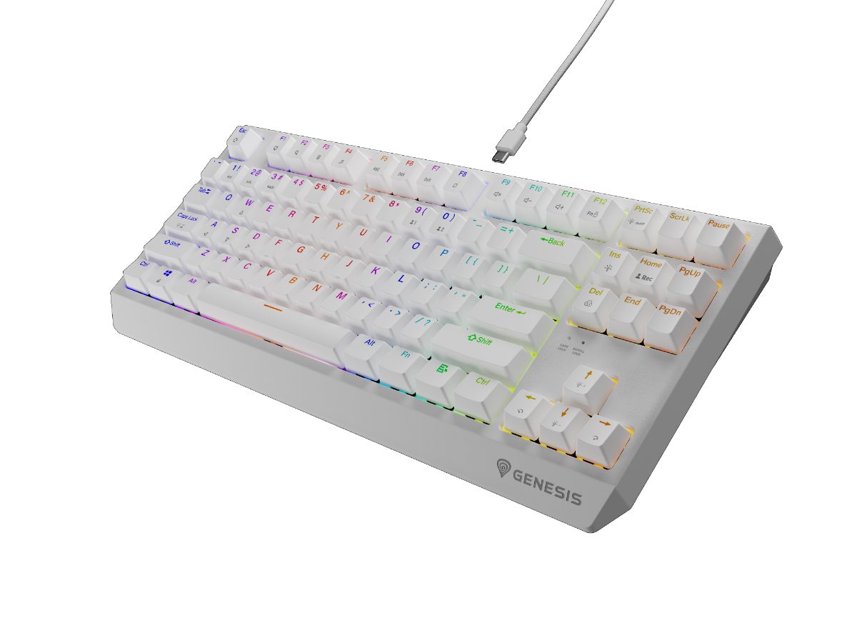 THOR 230, Mechanical Gaming Keyboard, Wired, US, Outemu Brown, White