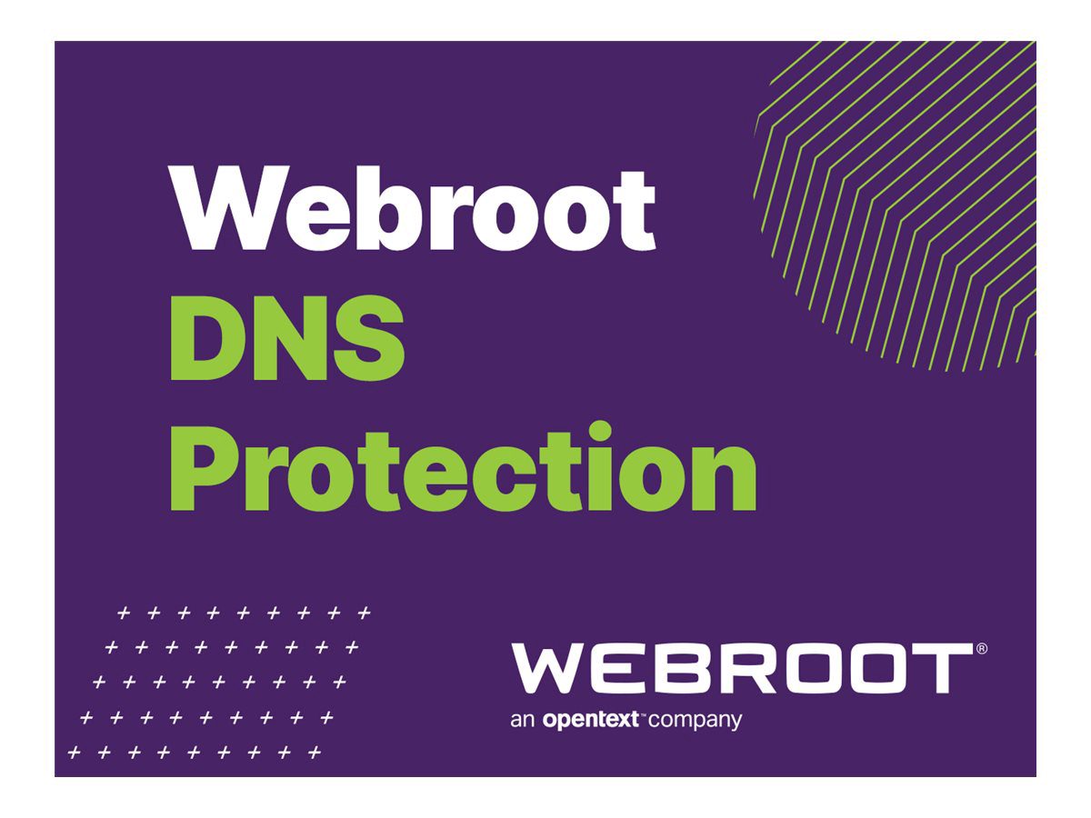 DNS Protection with GSM Console, 2 year(s), License quantity 10-99 user(s)