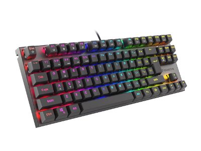 THOR 303 TKL, Gaming Keyboard, Wired, Mechanical, RGB LED light, US, Replaceable "HOT SWAP" Switches