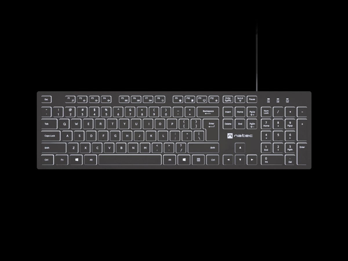 Herring Glow, Keyboard, Wired, US, Black