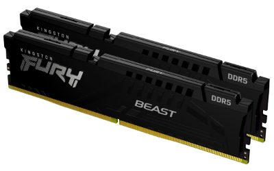 Fury Beast, 32 GB, DDR5, 5600 MHz, PC/server, Registered No, ECC No